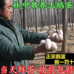 武志壹 山东特大鹅蛋新鲜土大的农家散养单黄孕妇宝宝6枚100-120克/个【特大】